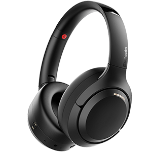 Mic-equipped Earphones
